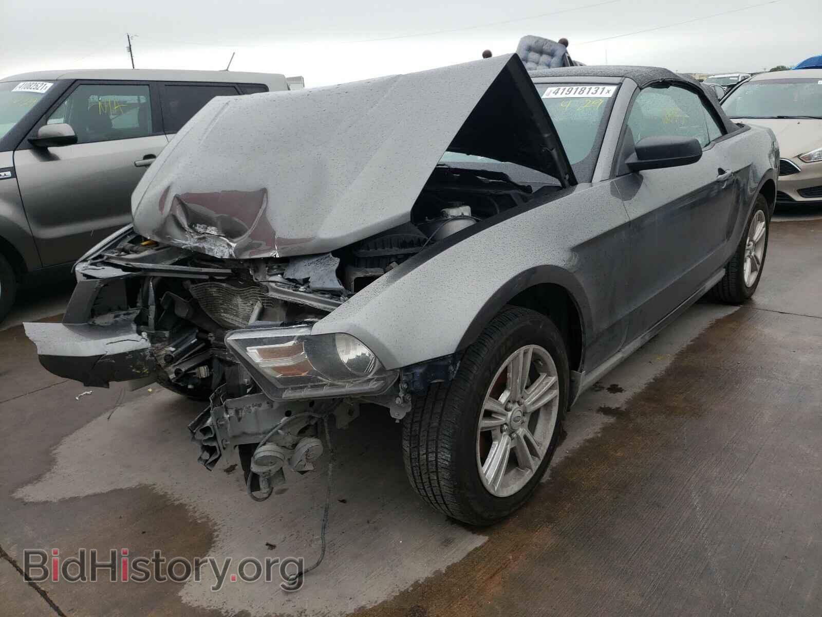 2010 FORD MUSTANG - VIN: 1ZVBP8EN3A5118911 - Фото 2