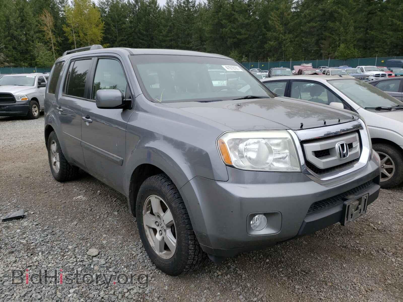 Фотография 5FNYF48529B035372 - HONDA PILOT 2009