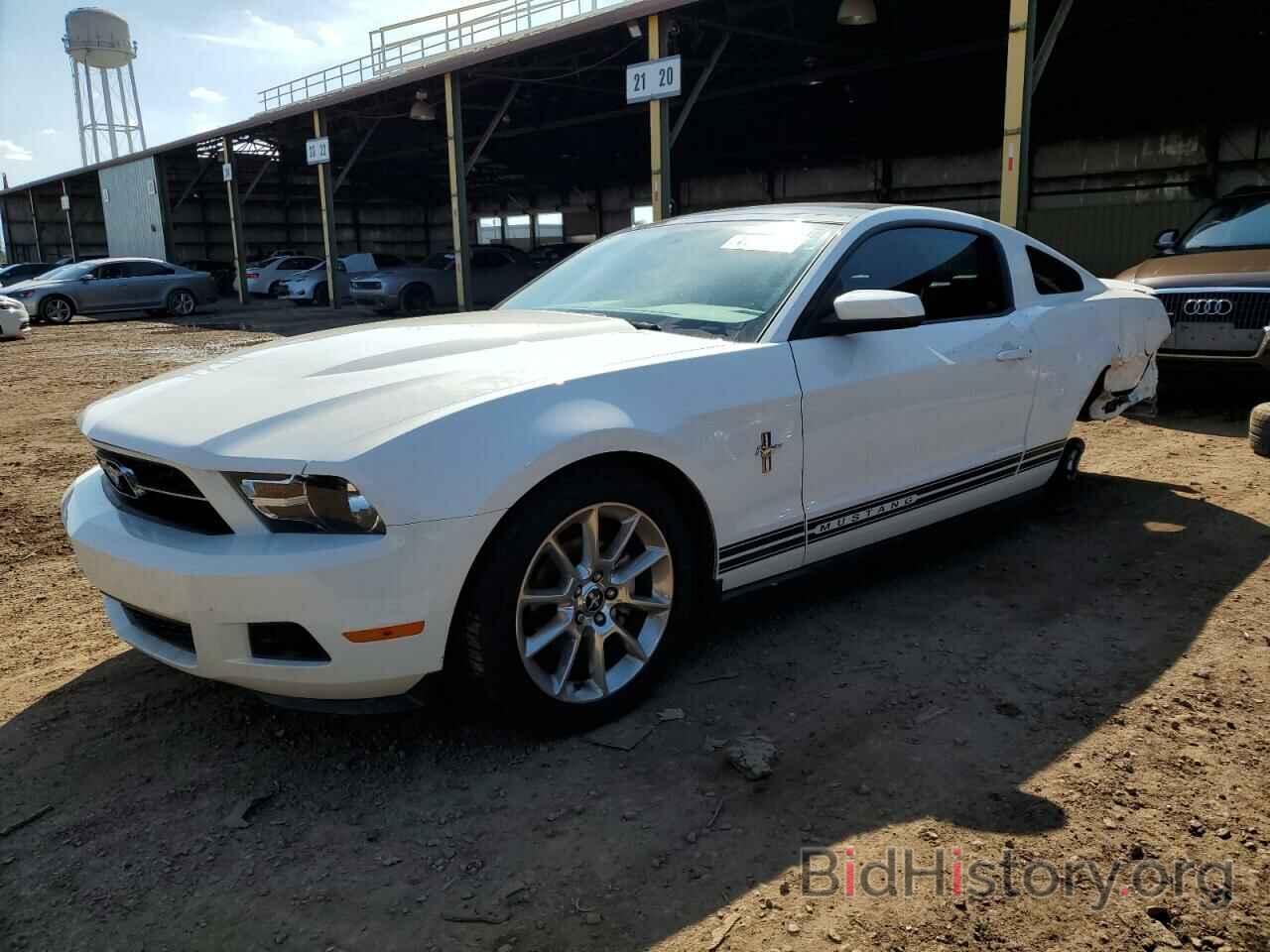 Photo 1ZVBP8AN1A5160709 - FORD MUSTANG 2010