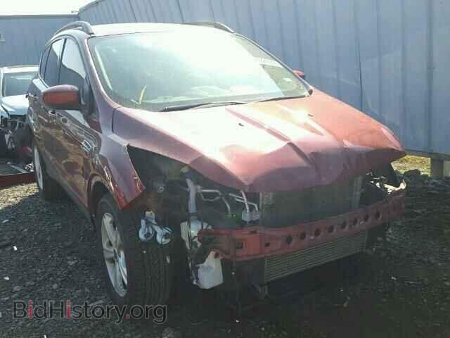 Фотография 1FMCU0GX5EUA04660 - FORD ESCAPE 2014