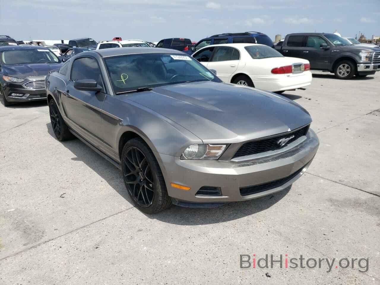Photo 1ZVBP8AN2A5137651 - FORD MUSTANG 2010