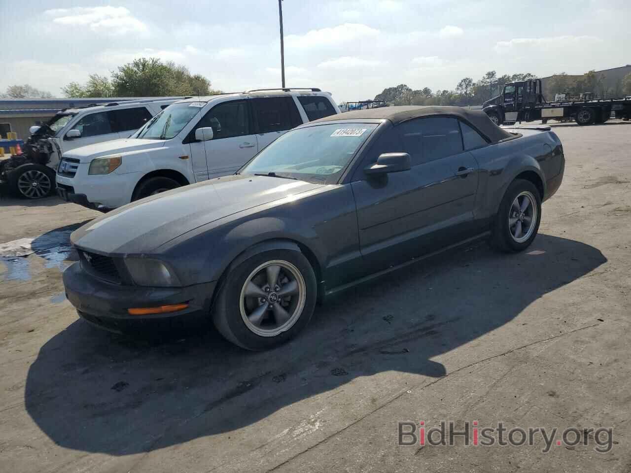 Photo 1ZVHT84N385146452 - FORD MUSTANG 2008