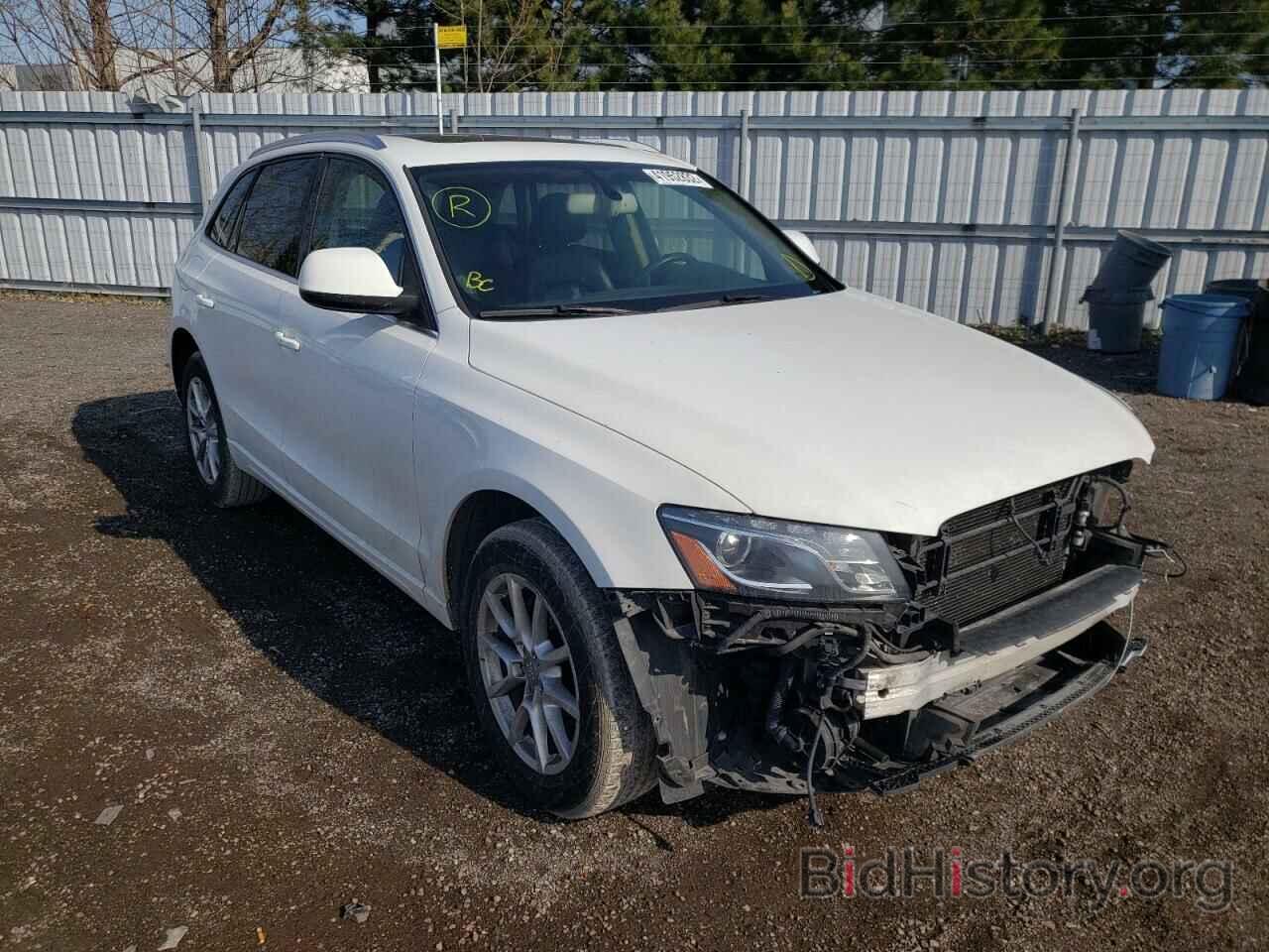 Фотография WA1LKCFP6AA092699 - AUDI Q5 2010