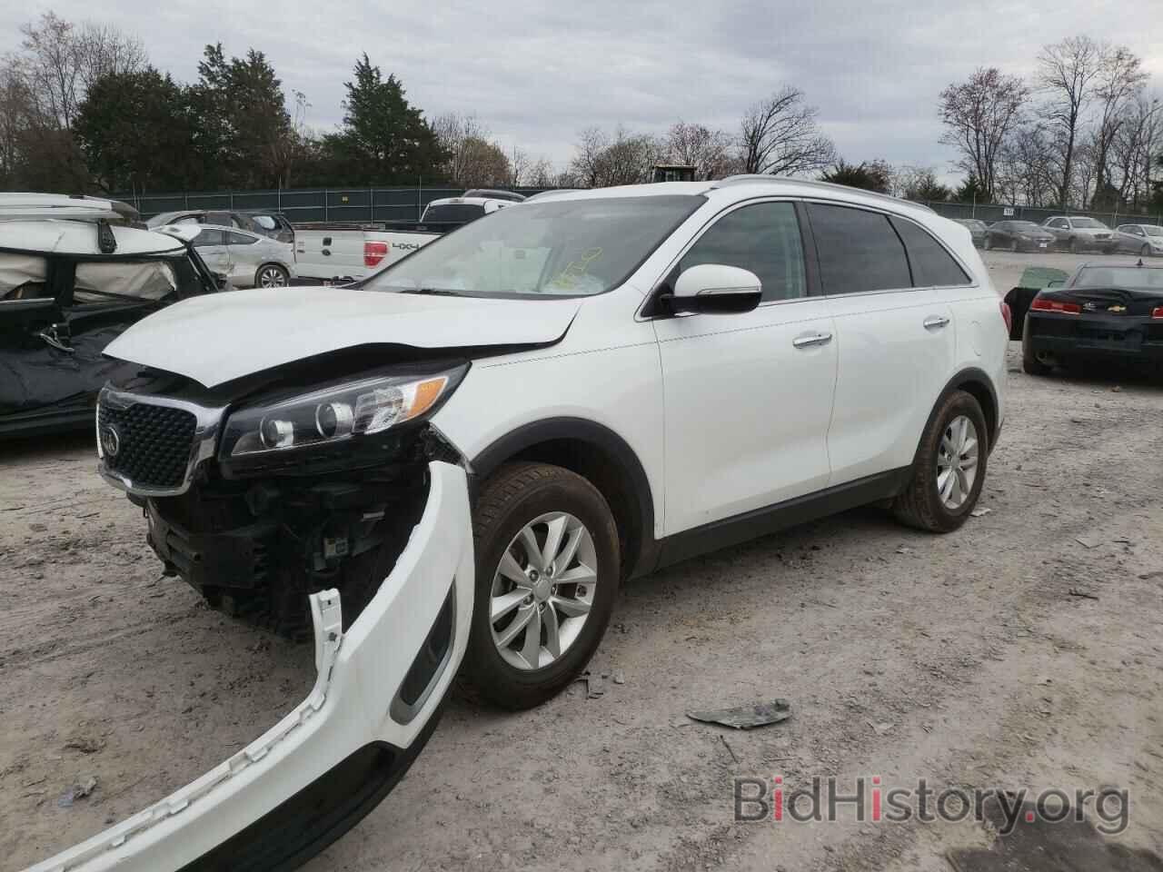 Photo 5XYPG4A31HG268250 - KIA SORENTO 2017