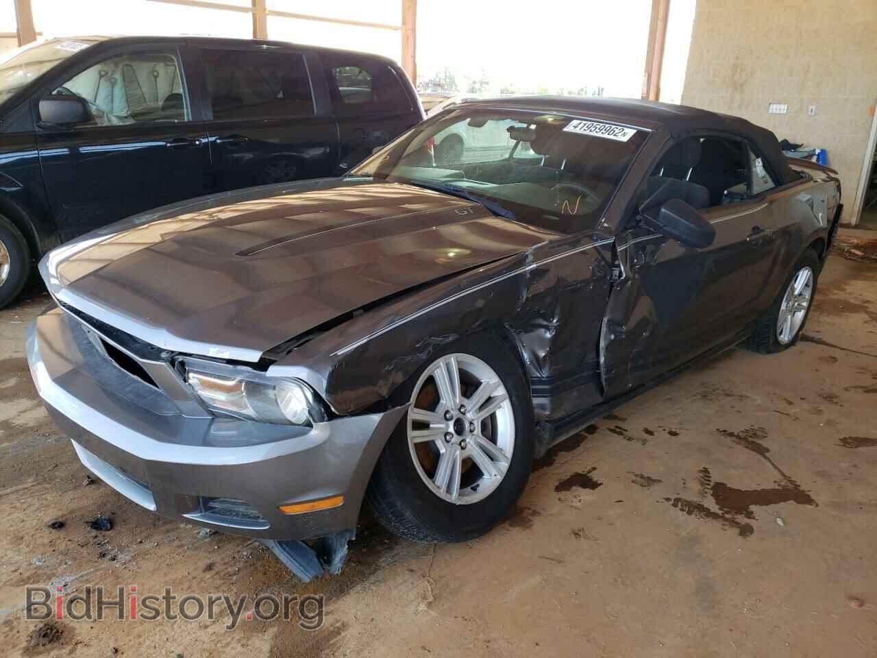 2012 FORD MUSTANG - VIN: 1ZVBP8EM6C5273446 - Фото 2