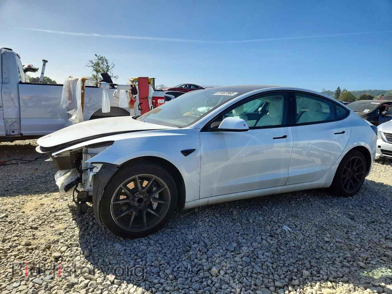 Photo 5YJ3E1EA9MF938690 - TESLA MODEL 3 2021