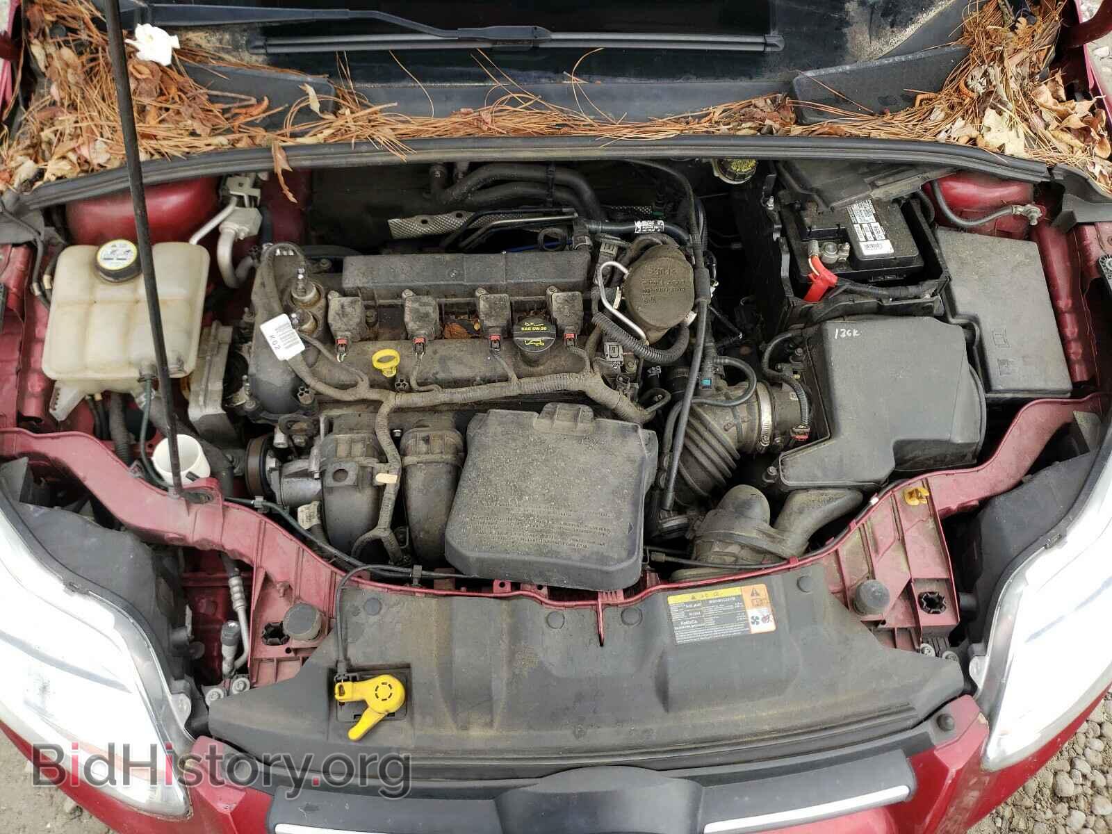2013 FORD FOCUS - VIN: 1FADP3K20DL121005 - Фото 7