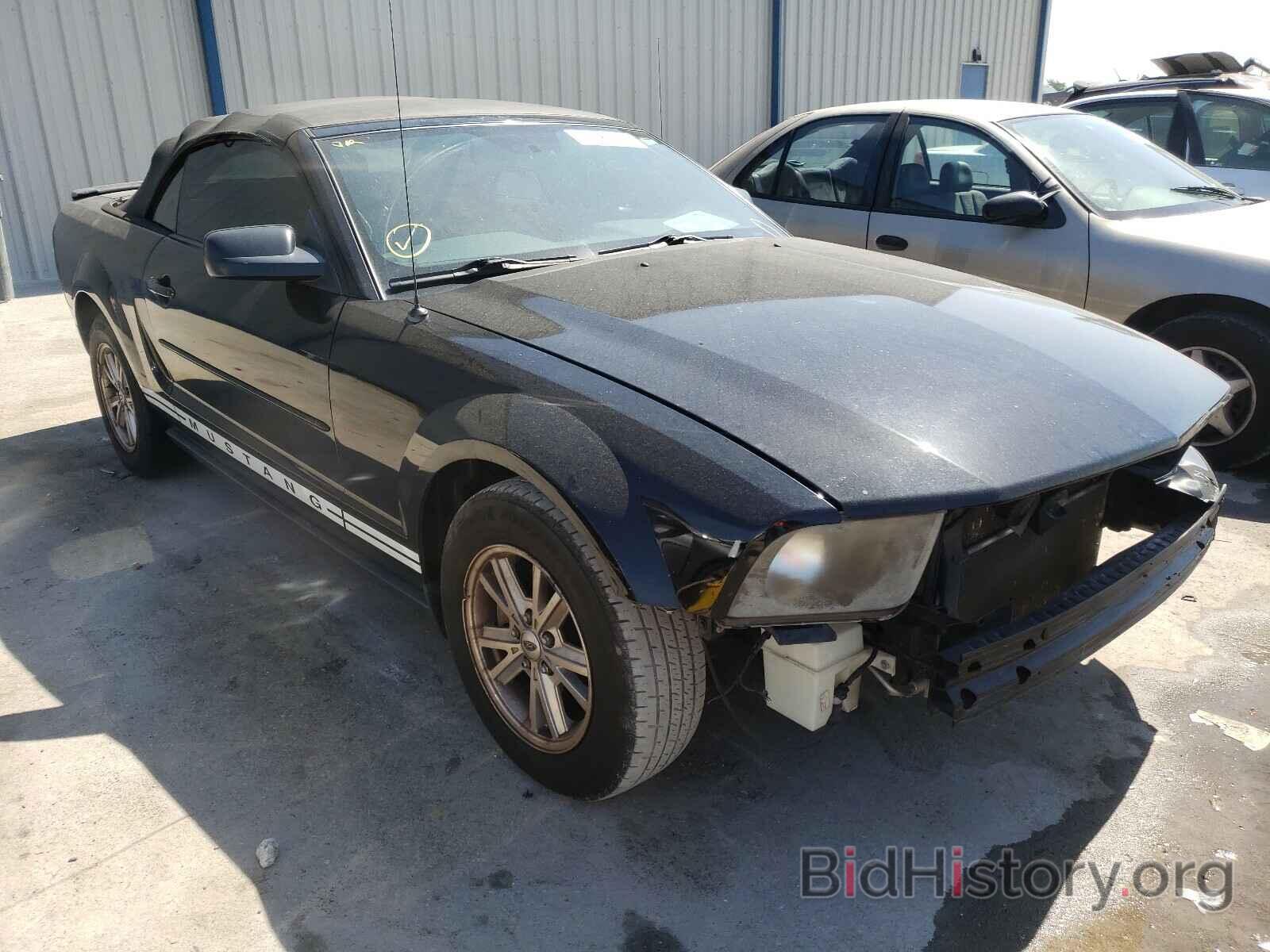Photo 1ZVHT84N985151994 - FORD MUSTANG 2008