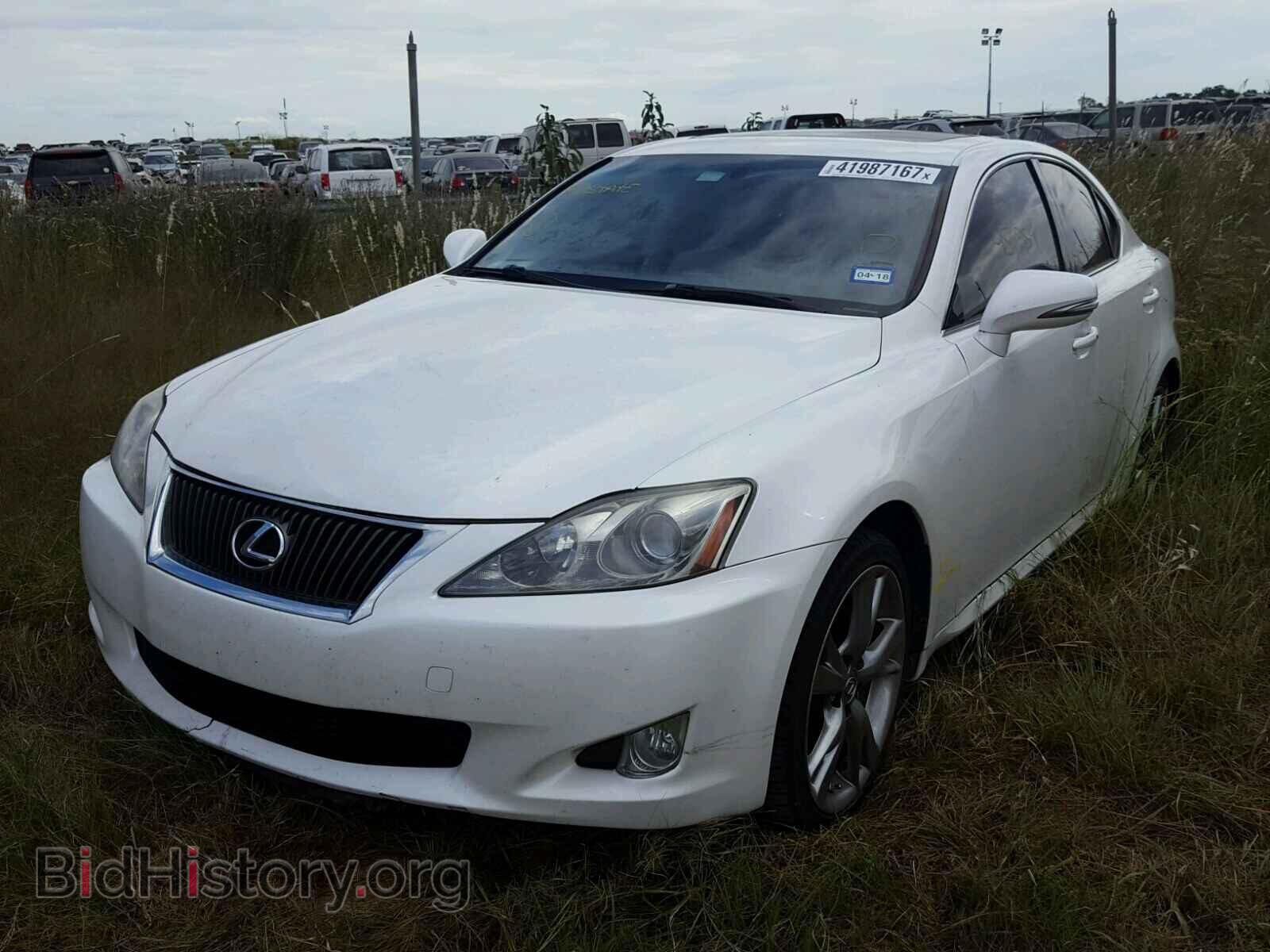 2010 LEXUS IS 250 - VIN: JTHBF5C24A2097127 - Фото 2