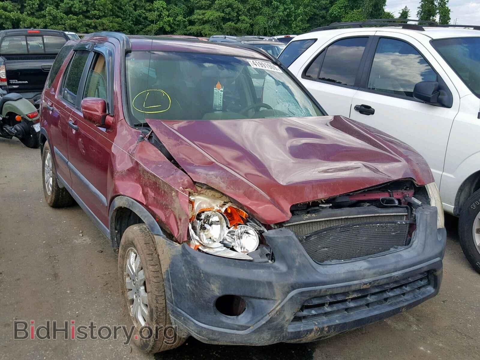 Фотография SHSRD78865U347316 - HONDA CR-V EX 2005