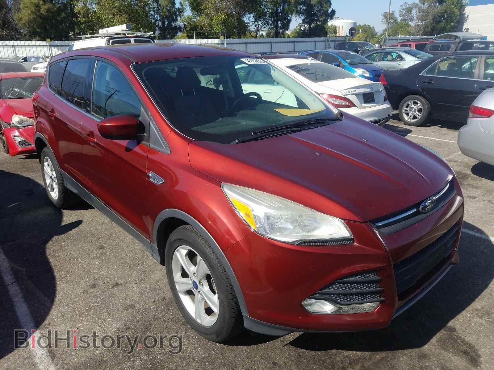 Photo 1FMCU0GX5EUC00744 - FORD ESCAPE 2014