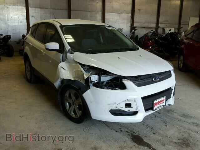 Photo 1FMCU0GX7DUD59828 - FORD ESCAPE 2013