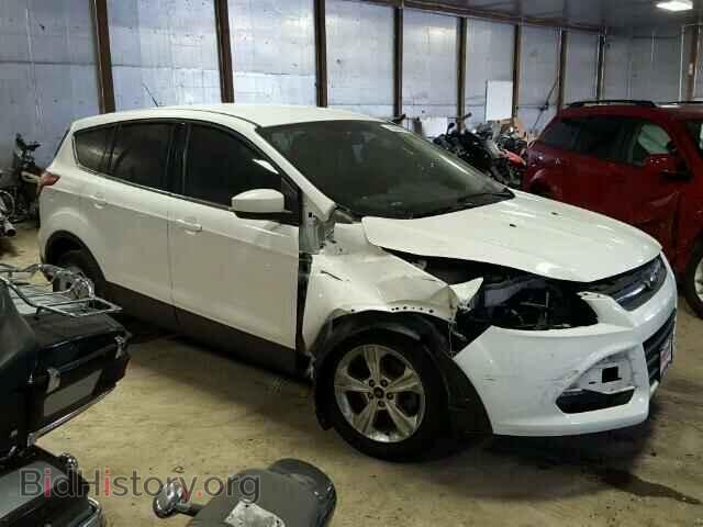 2013 FORD ESCAPE - VIN: 1FMCU0GX7DUD59828 - Photo 9