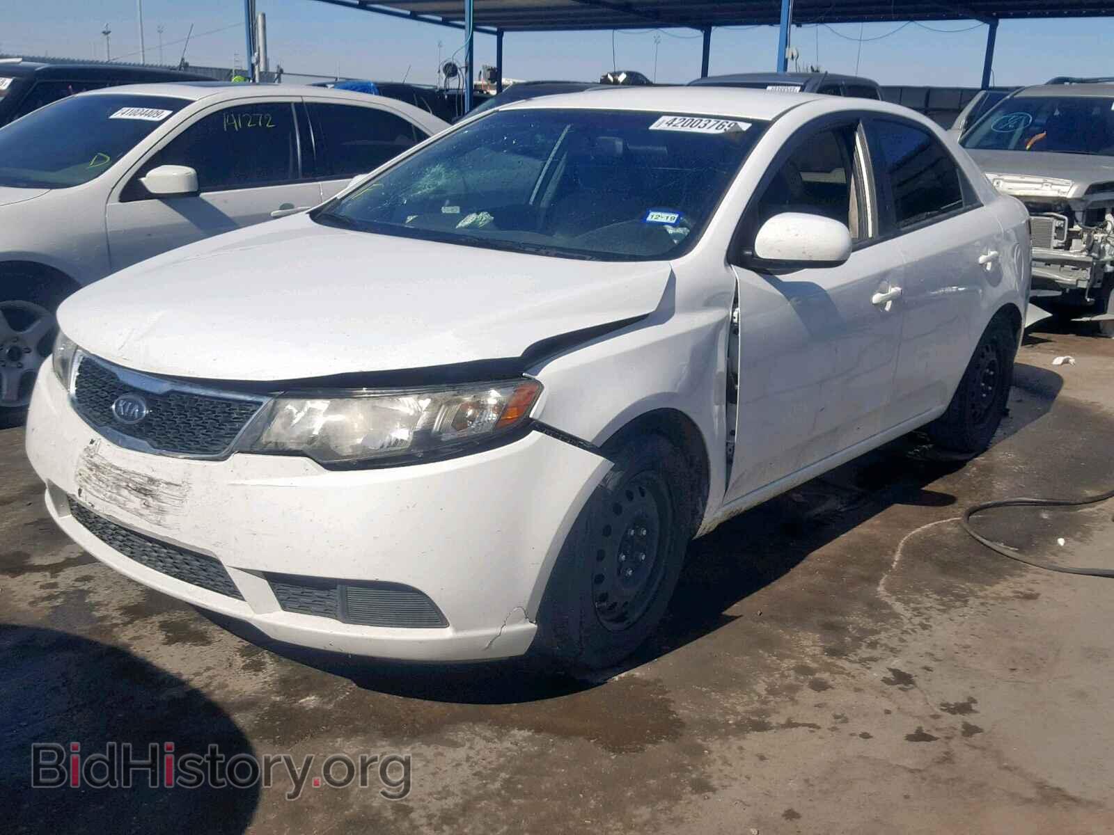 2013 KIA FORTE LX - VIN: KNAFT4A20D5691433 - Фото 2