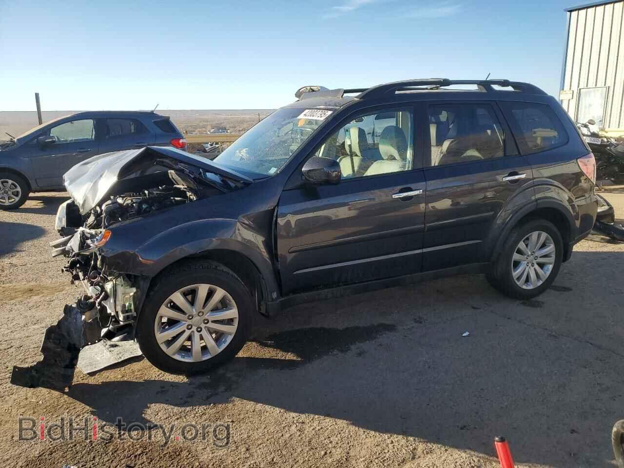 Photo JF2SHAEC5DH406245 - SUBARU FORESTER 2013