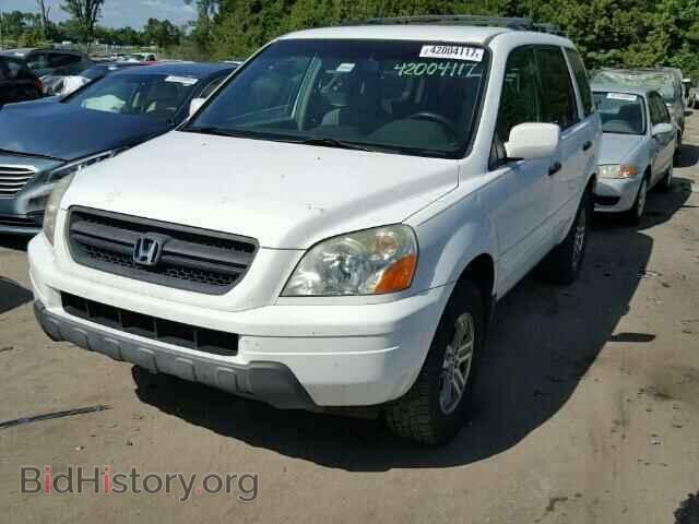 2005 HONDA PILOT - VIN: 5FNYF18435B020623 - Фото 2