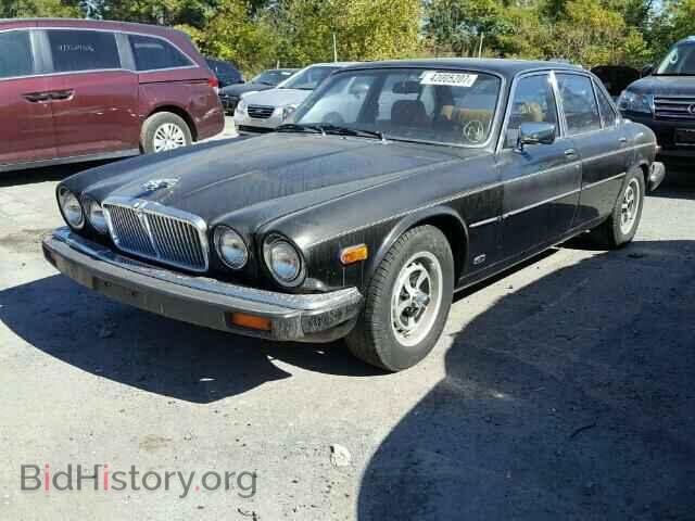1983 JAGUAR XJ6 - VIN: SAJAV1345DC364530 - Фото 2
