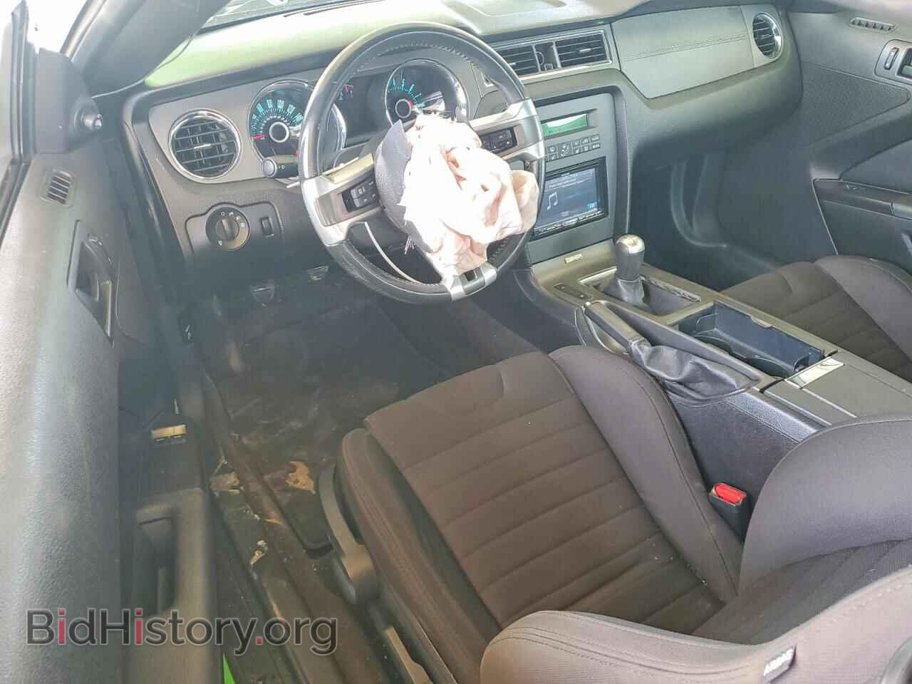 2013 FORD MUSTANG - VIN: 1ZVBP8CF5D5223059 - Фото 8