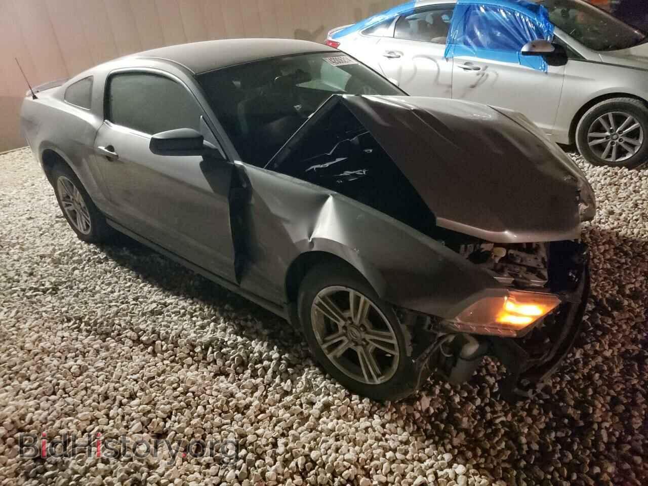 2010 FORD ALL Models - VIN: 1ZVBP8AN3A5152675 - Фото 4