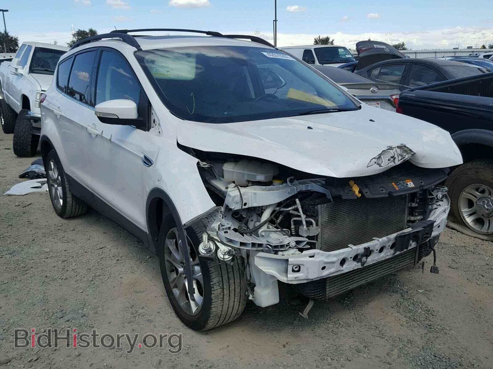 Photo 1FMCU0H98DUA59487 - FORD ESCAPE 2013