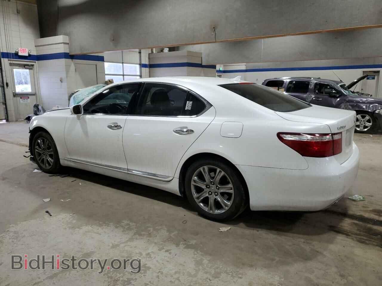2009 LEXUS LS460 - VIN: JTHBL46F995086409 - Photo 2
