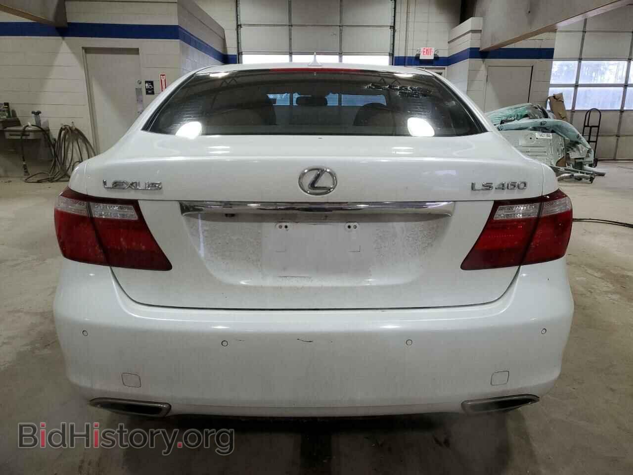 2009 LEXUS LS460 - VIN: JTHBL46F995086409 - Photo 6