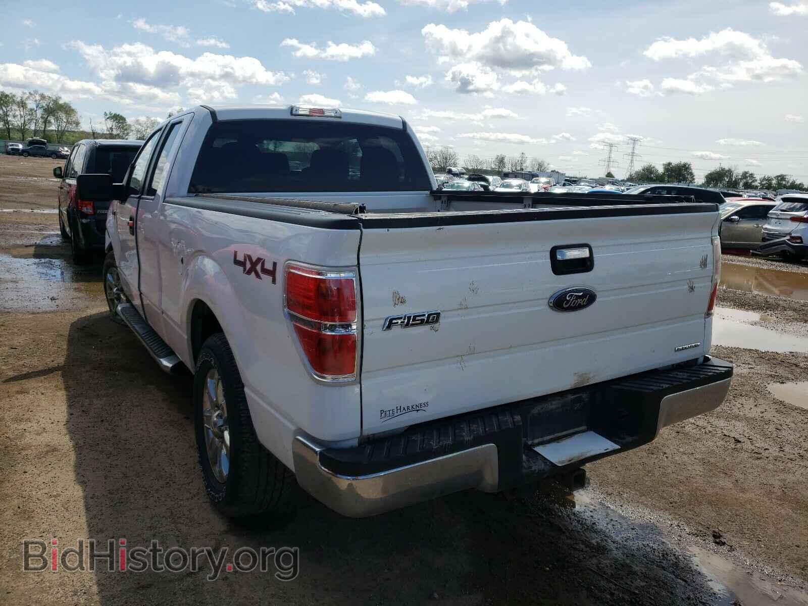 2013 FORD F150 - VIN: 1FTFX1EF7DFD96908 - Фото 3