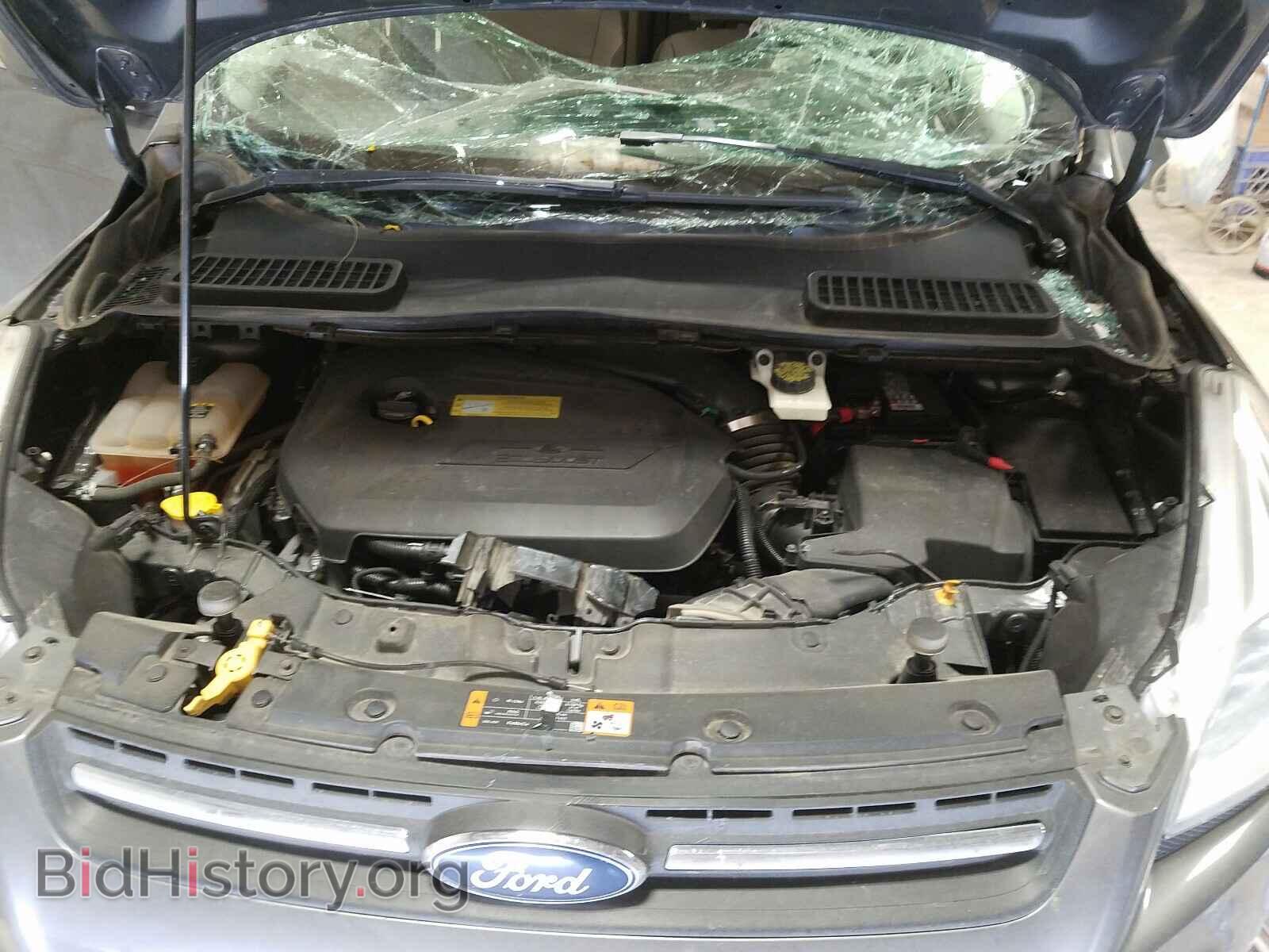 2013 FORD ESCAPE - VIN: 1FMCU0GX5DUD52845 - Фото 7