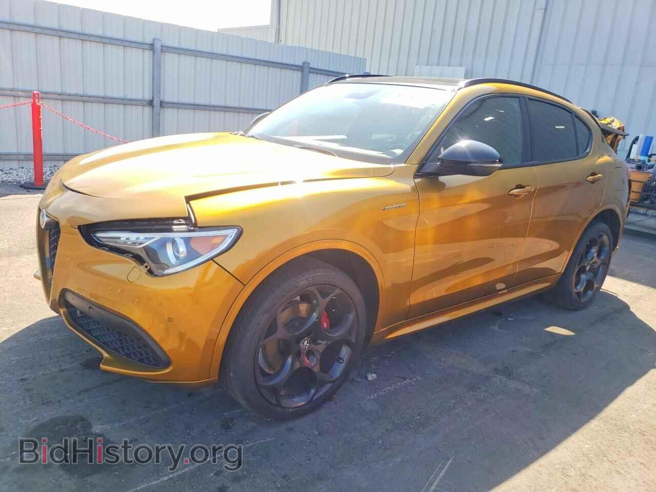 Фотография ZASPAKBN0P7D57882 - ALFA ROMEO STELVIO 2023