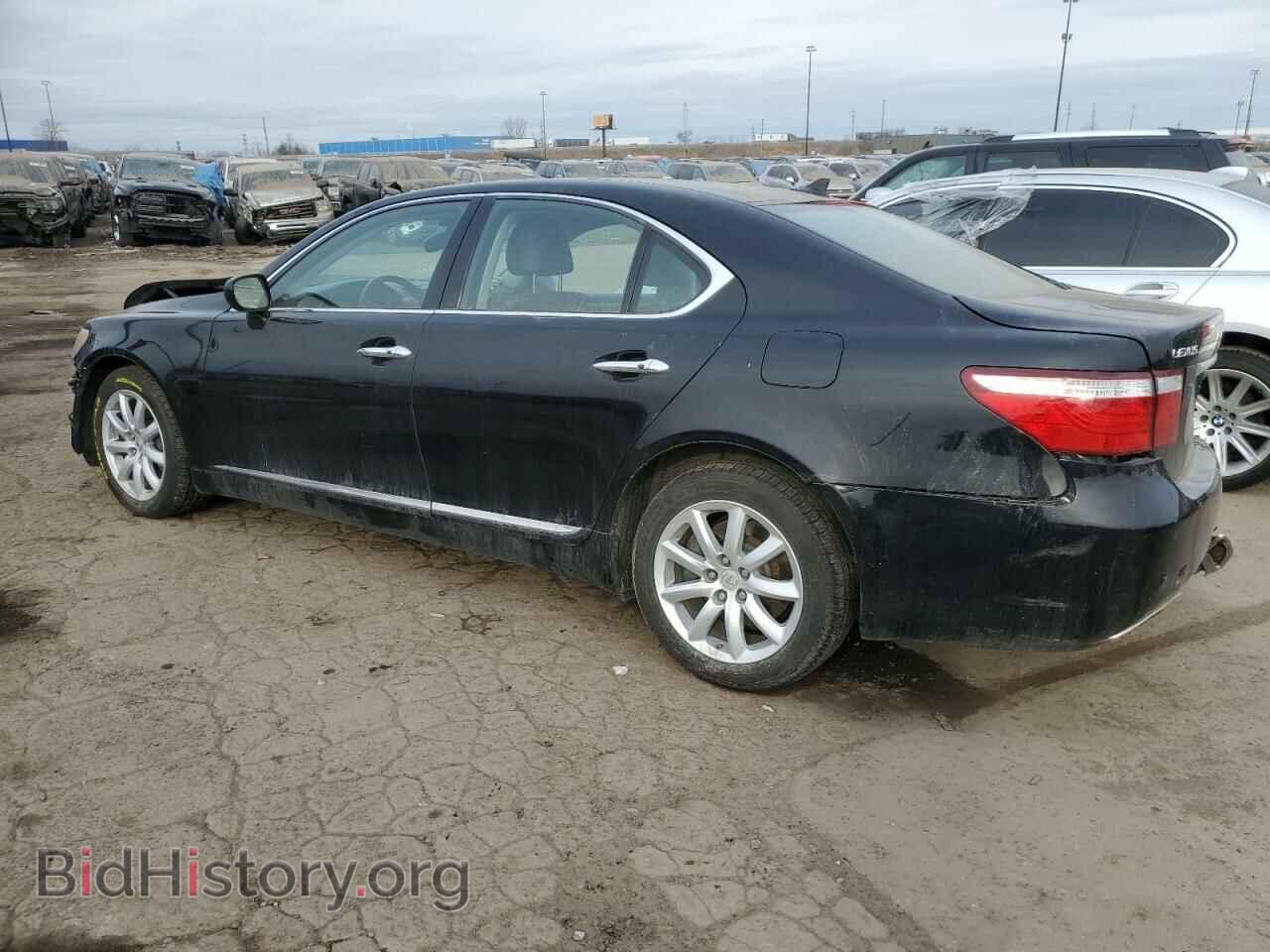 2009 LEXUS LS460 - VIN: JTHCL46F595004230 - Photo 2