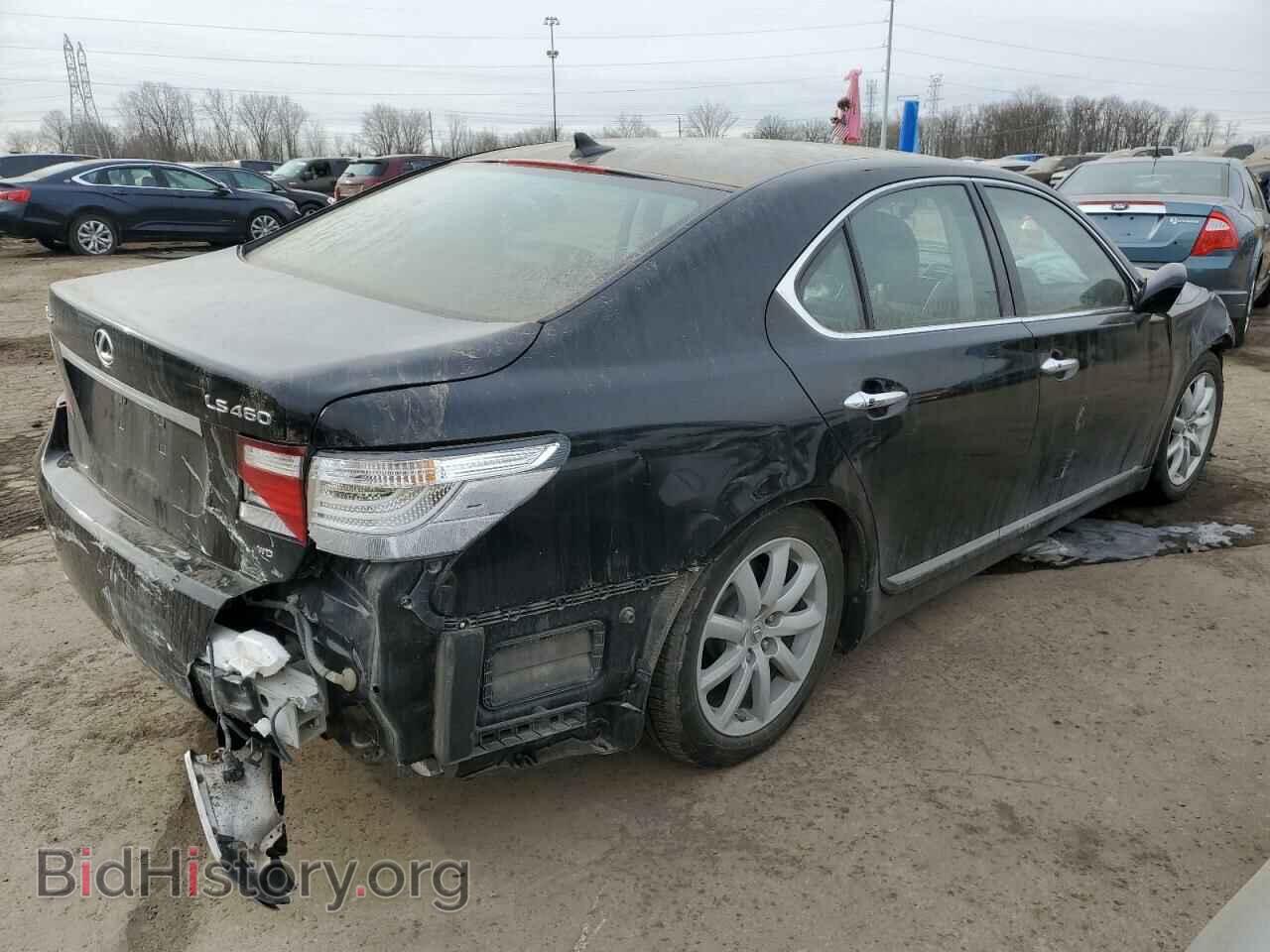 2009 LEXUS LS460 - VIN: JTHCL46F595004230 - Photo 3