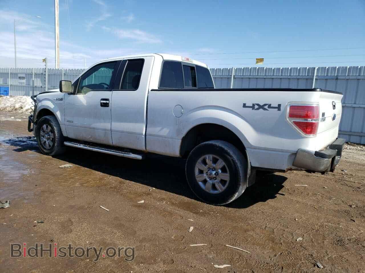 2011 FORD F-150 - VIN: 1FTFX1ETXBFB44363 - Фото 2
