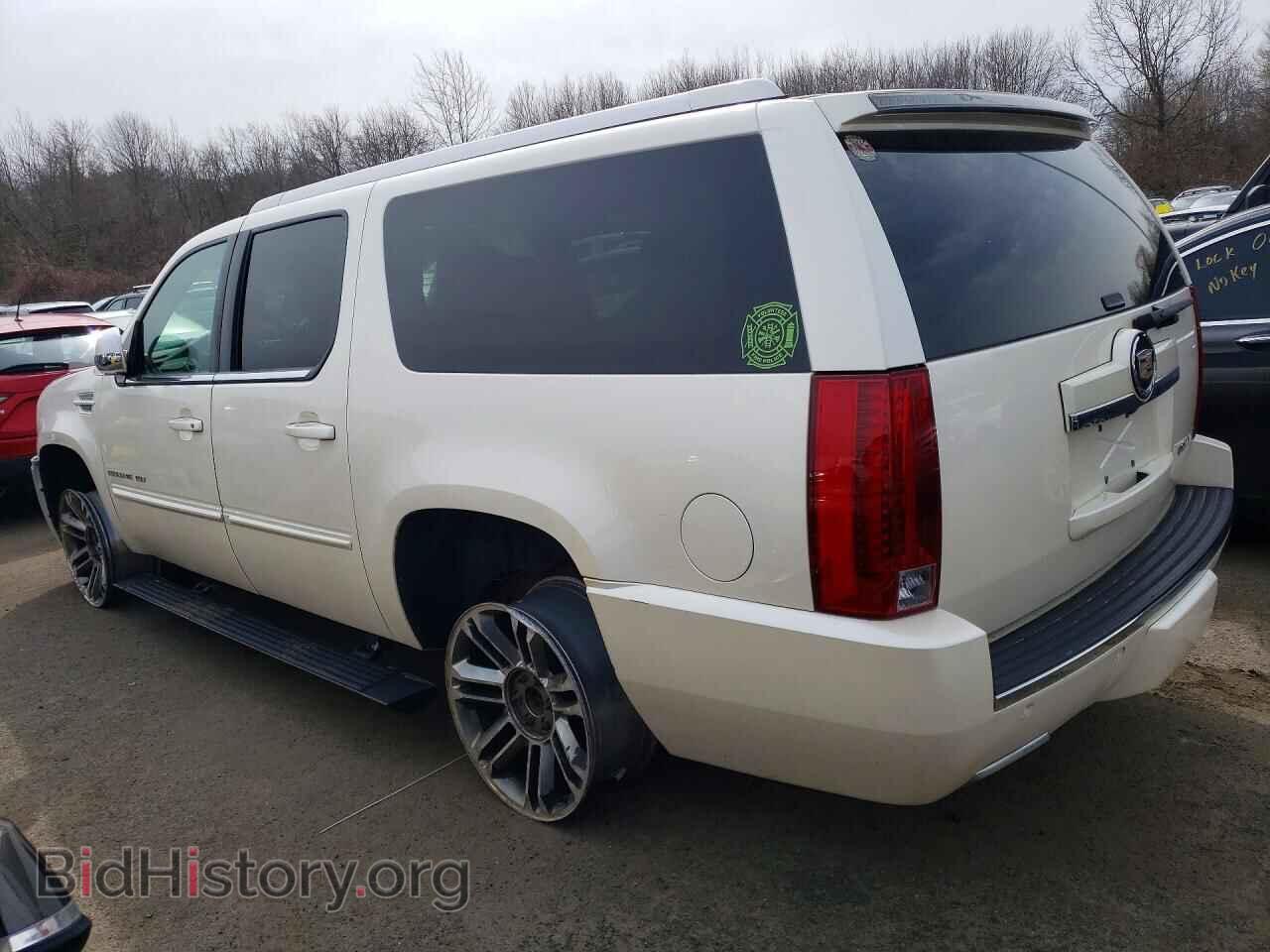 2013 CADILLAC ESCALADE - VIN: 1GYS4JEF7DR166589 - Фото 2