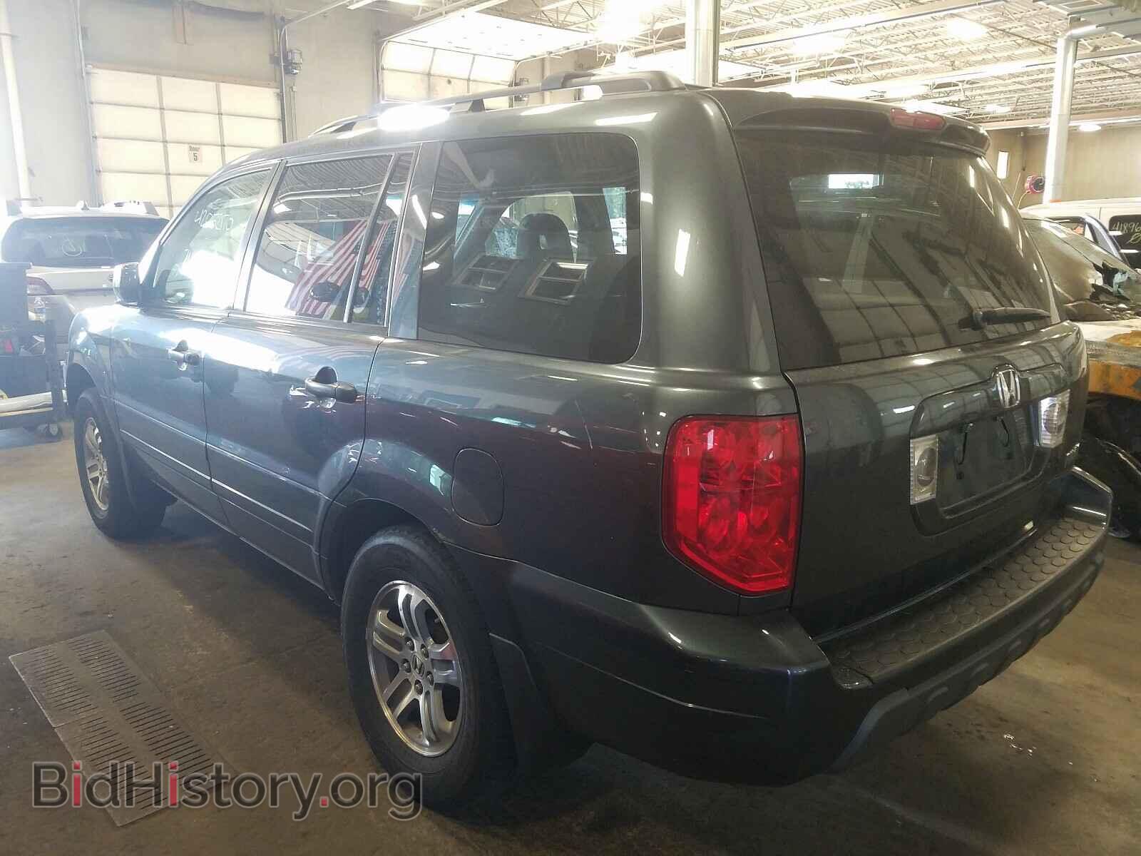 2005 HONDA PILOT - VIN: 5FNYF18555B003072 - Фото 3