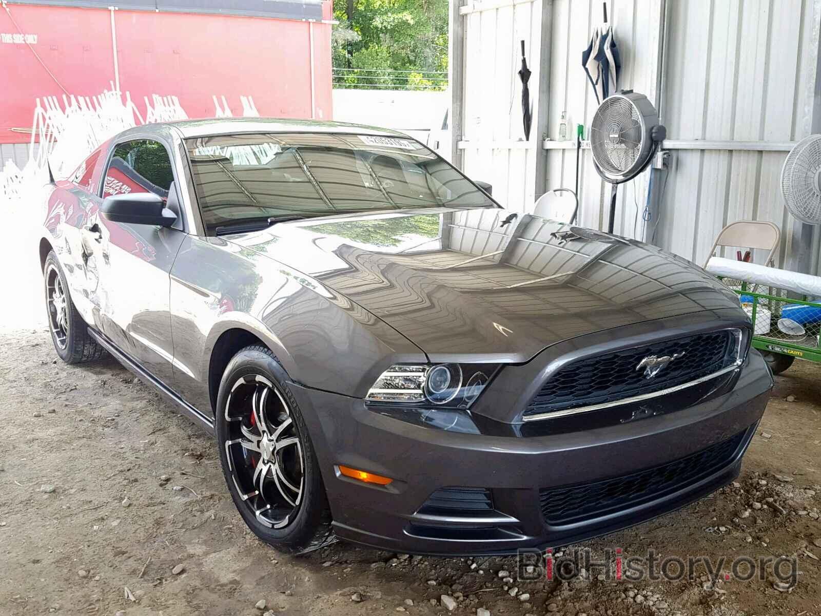 Photo 1ZVBP8AM8D5268675 - FORD MUSTANG 2013