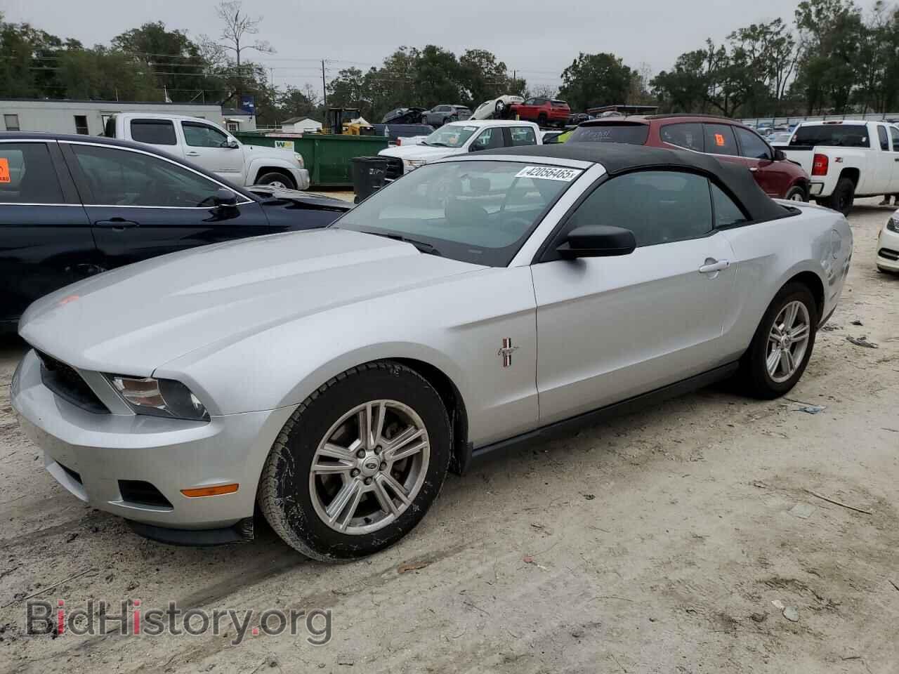 Photo 1ZVBP8EM1C5259356 - FORD ALL Models 2012