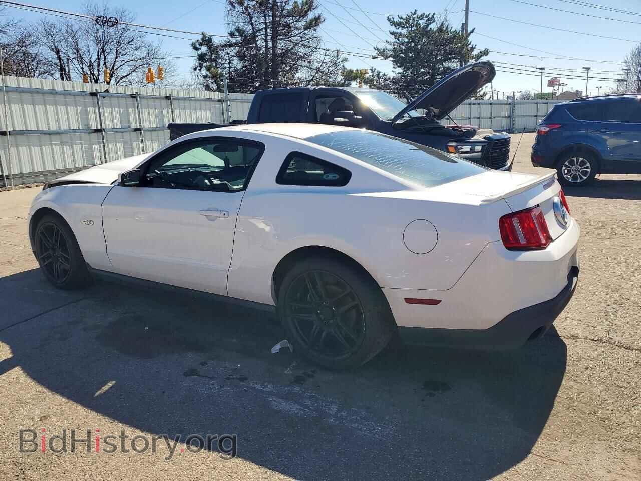2011 FORD MUSTANG - VIN: 1ZVBP8CF5B5122360 - Фото 2