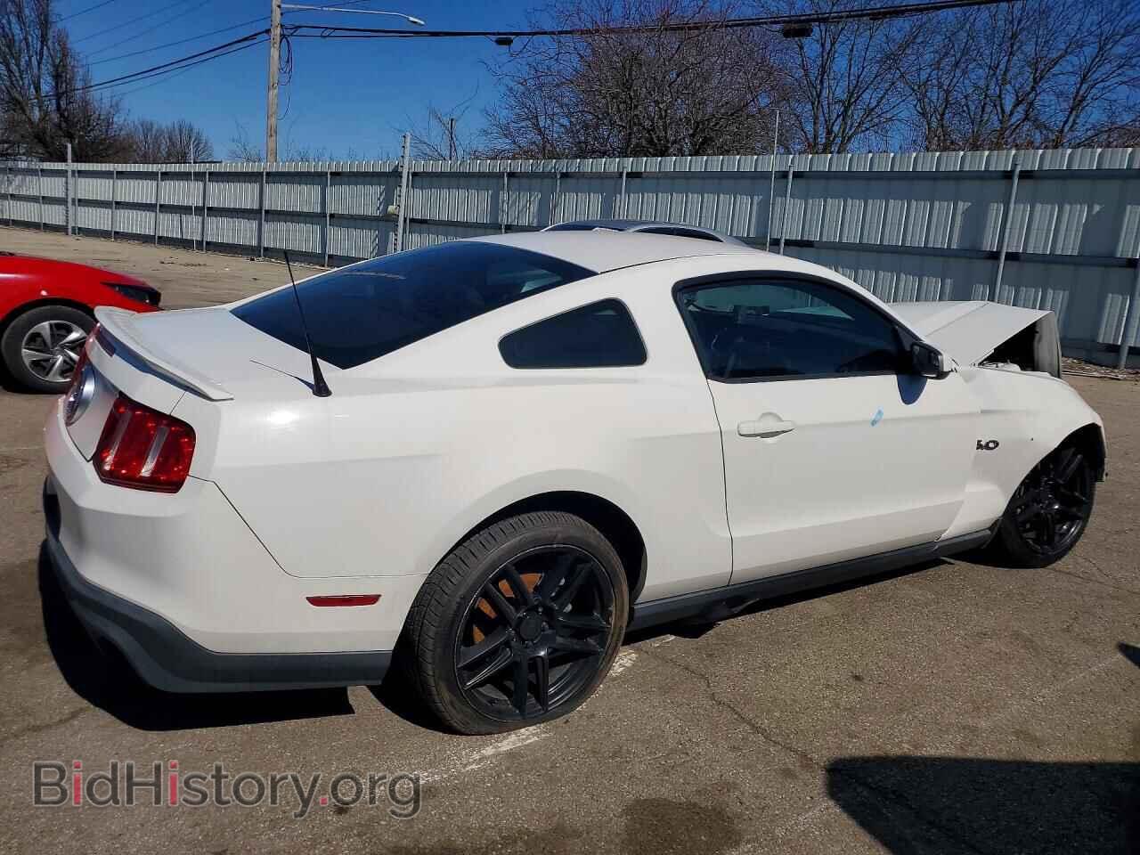 2011 FORD MUSTANG - VIN: 1ZVBP8CF5B5122360 - Фото 3