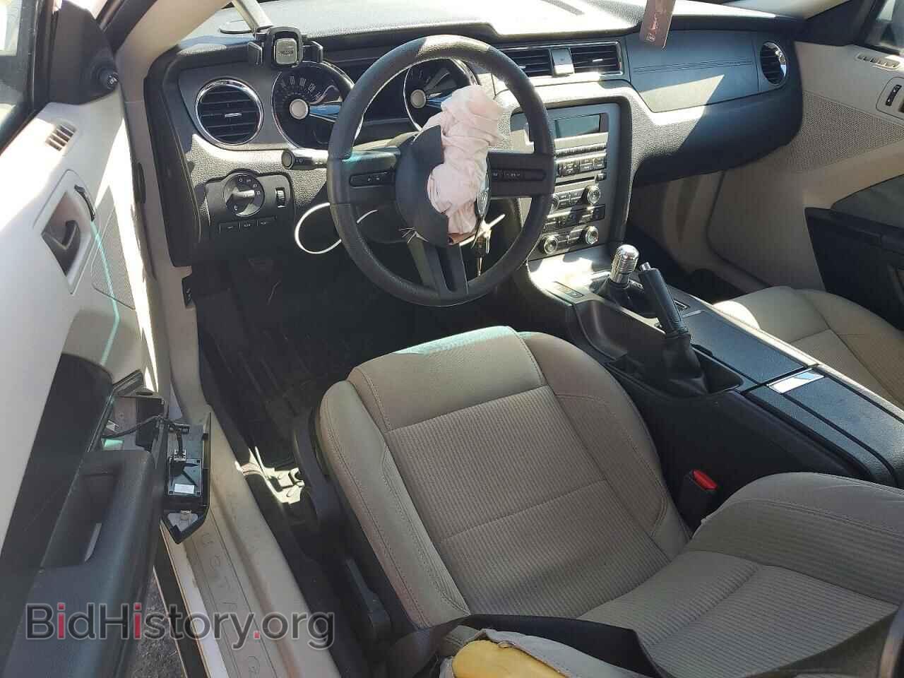 2011 FORD MUSTANG - VIN: 1ZVBP8CF5B5122360 - Фото 8