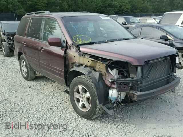 Photo 5FNYF18558B048257 - HONDA PILOT 2008