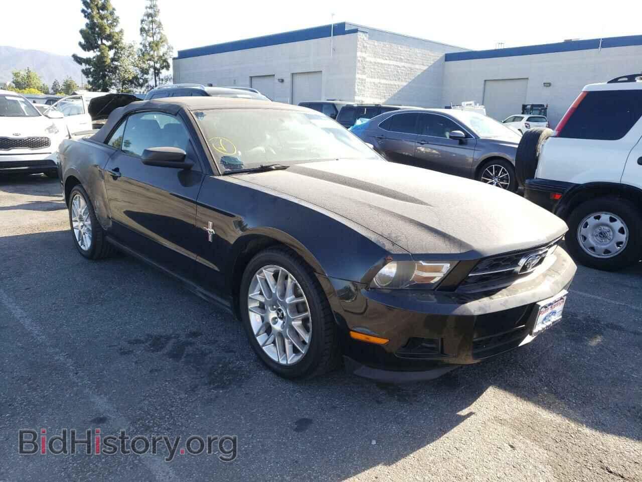 Фотография 1ZVBP8EM6C5273009 - FORD MUSTANG 2012
