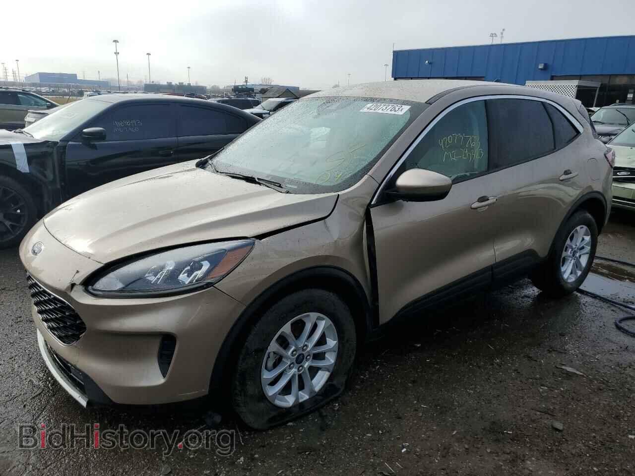 Photo 1FMCU9G64LUA13827 - FORD ESCAPE 2020
