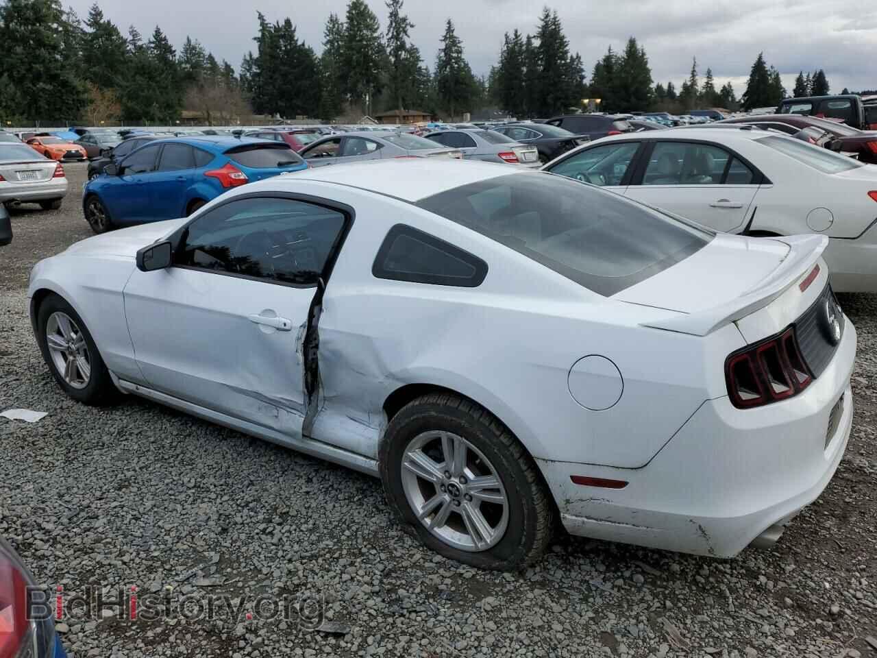 2014 FORD ALL Models - VIN: 1ZVBP8AMXE5249272 - Фото 2