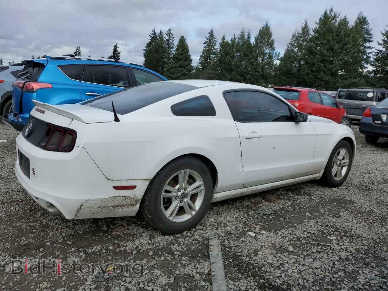 2014 FORD ALL Models - VIN: 1ZVBP8AMXE5249272 - Фото 3