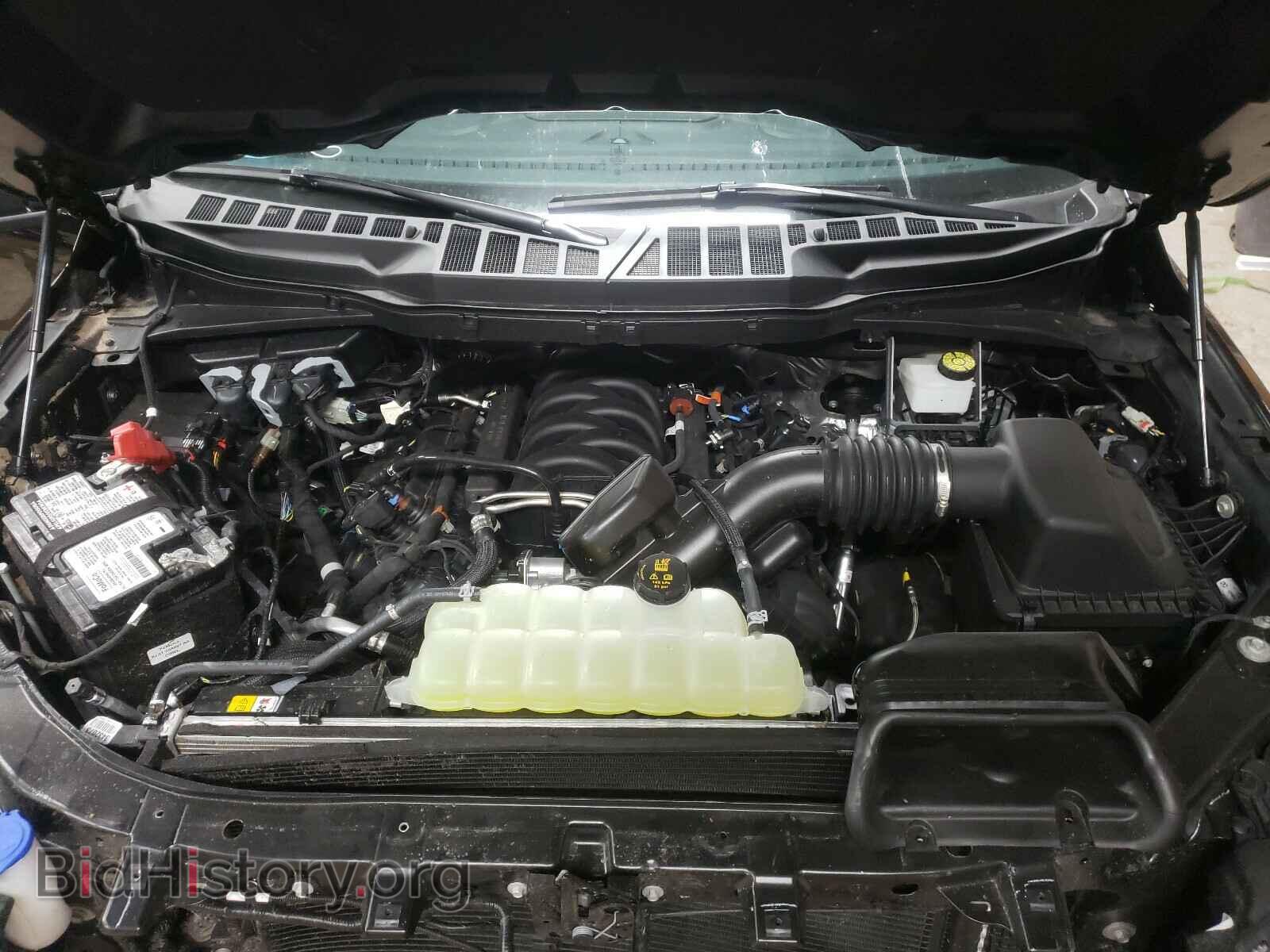 2021 FORD F150 - VIN: 1FTFW1E53MFA48971 - Фото 7