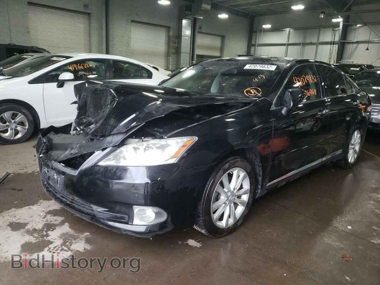 2010 LEXUS ES350 - VIN: JTHBK1EG4A2402042 - Фото 2
