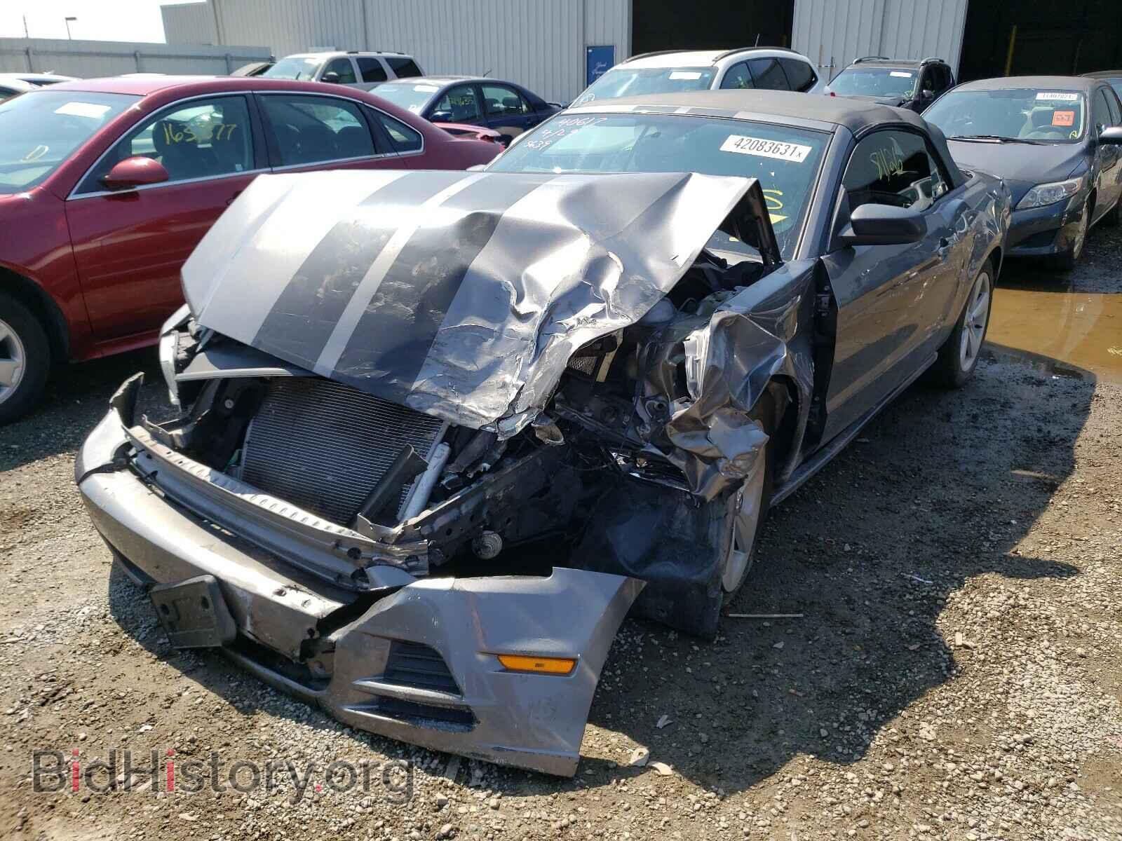 2014 FORD MUSTANG - VIN: 1ZVBP8EM3E5205639 - Фото 2