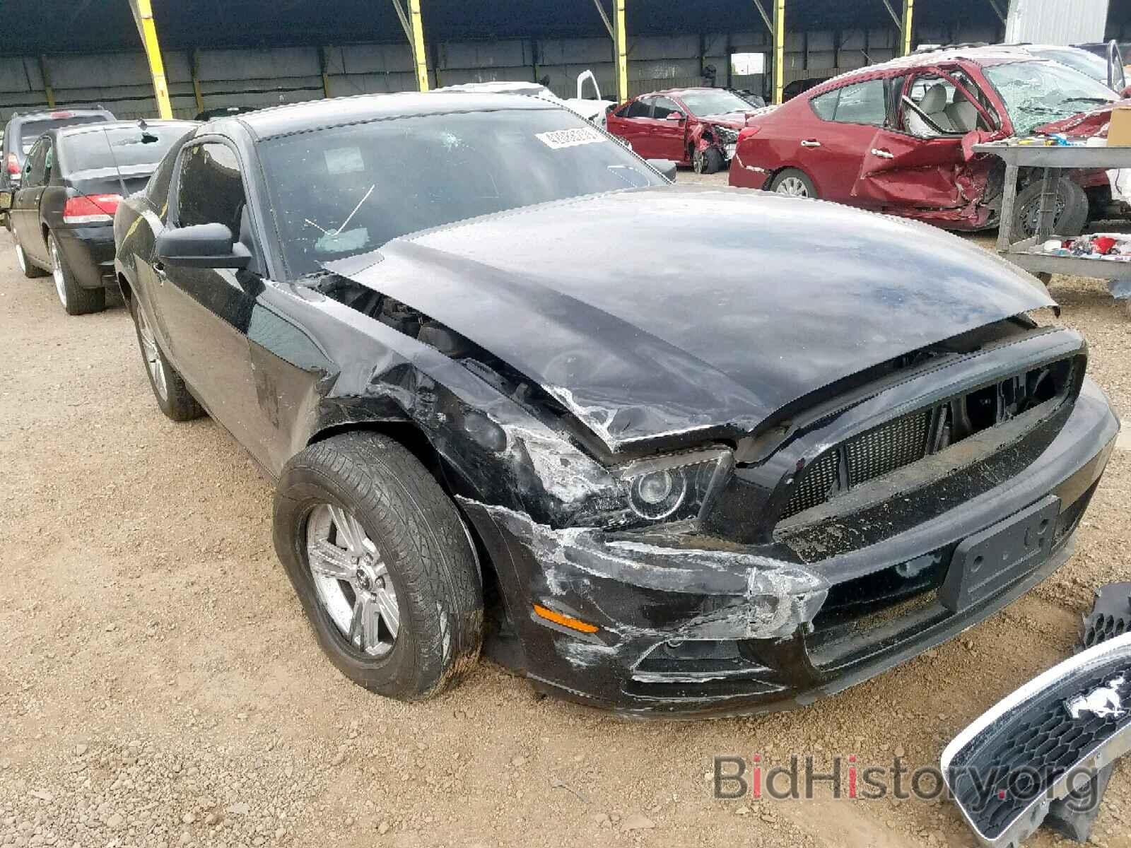Photo 1ZVBP8AM6D5216428 - FORD MUSTANG 2013