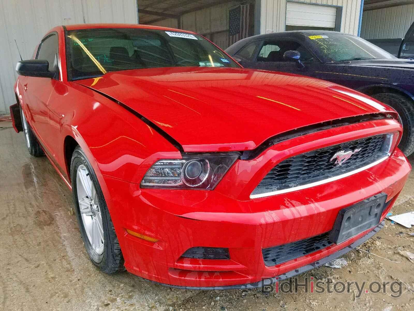 Photo 1ZVBP8AM5D5269220 - FORD MUSTANG 2013