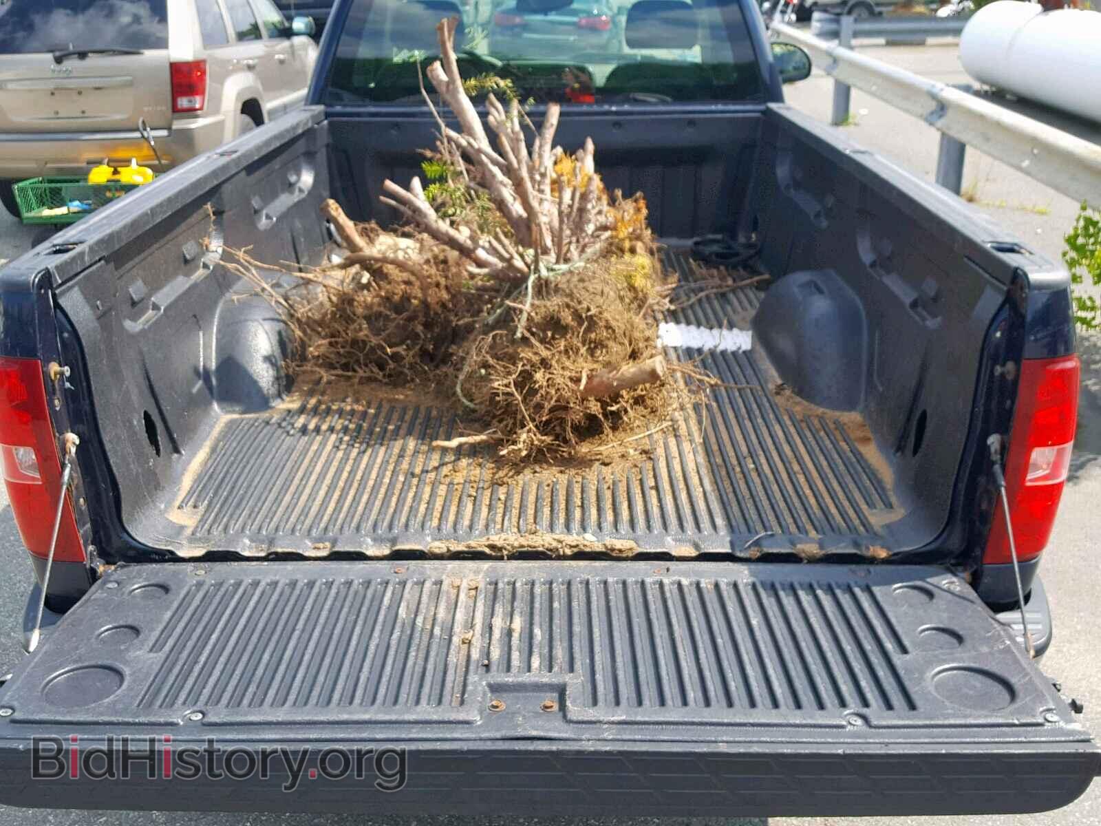 2008 CHEVROLET SILVERADO - VIN: 1GCEC14X78Z313807 - Фото 6